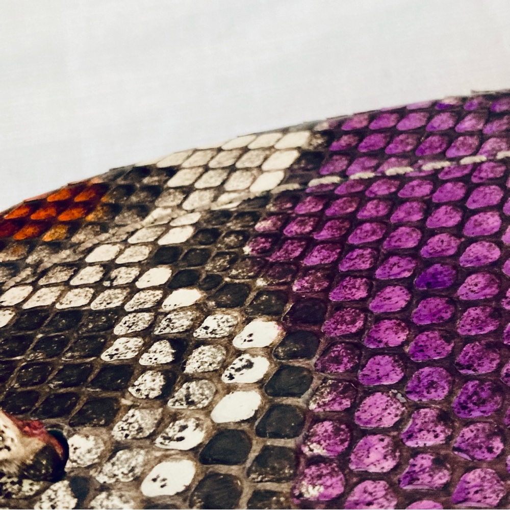 Alexandre Birman T Strap Python Sandals Sz40 Rare - image 6